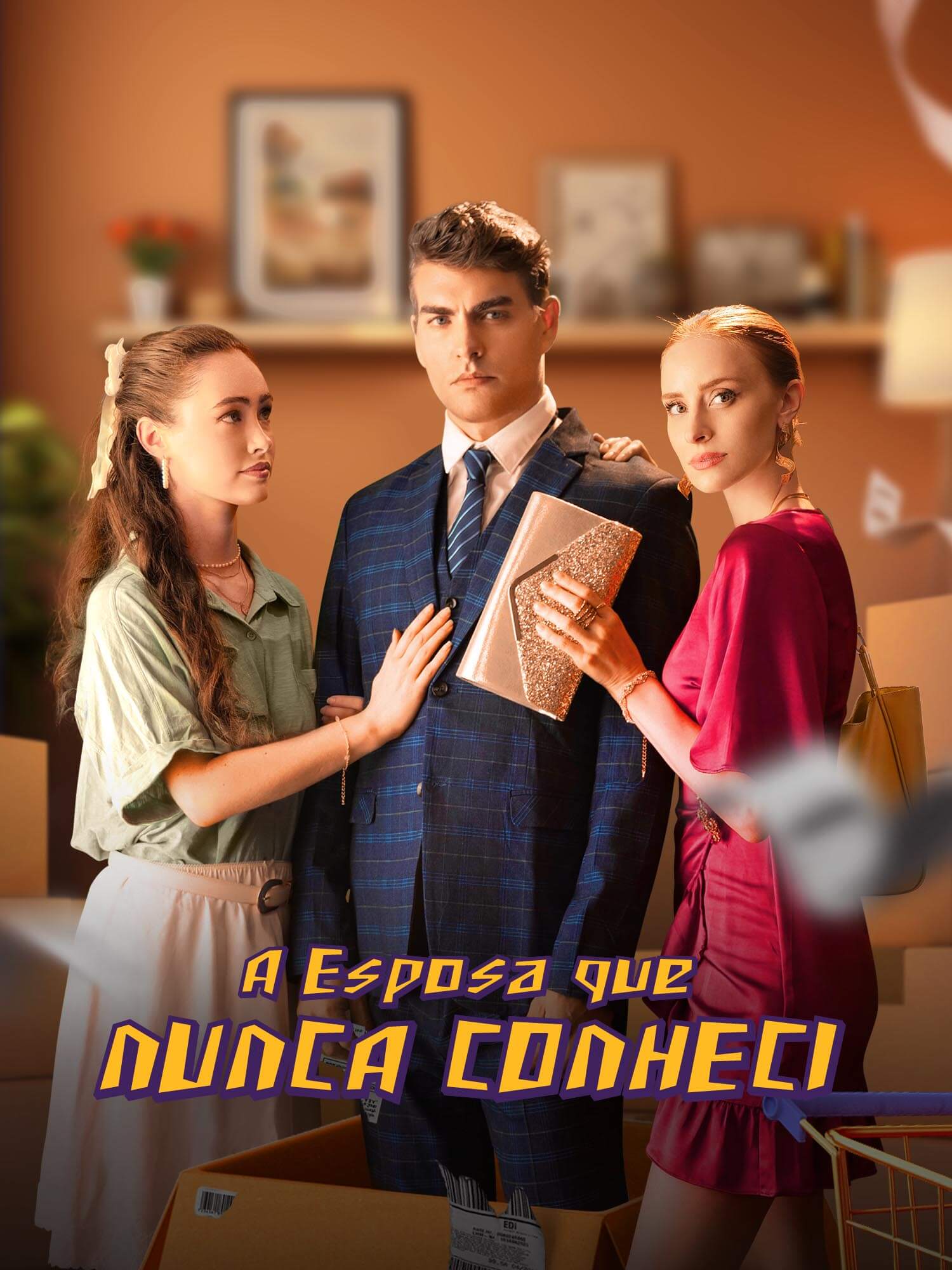 A Esposa que Nunca Conheci