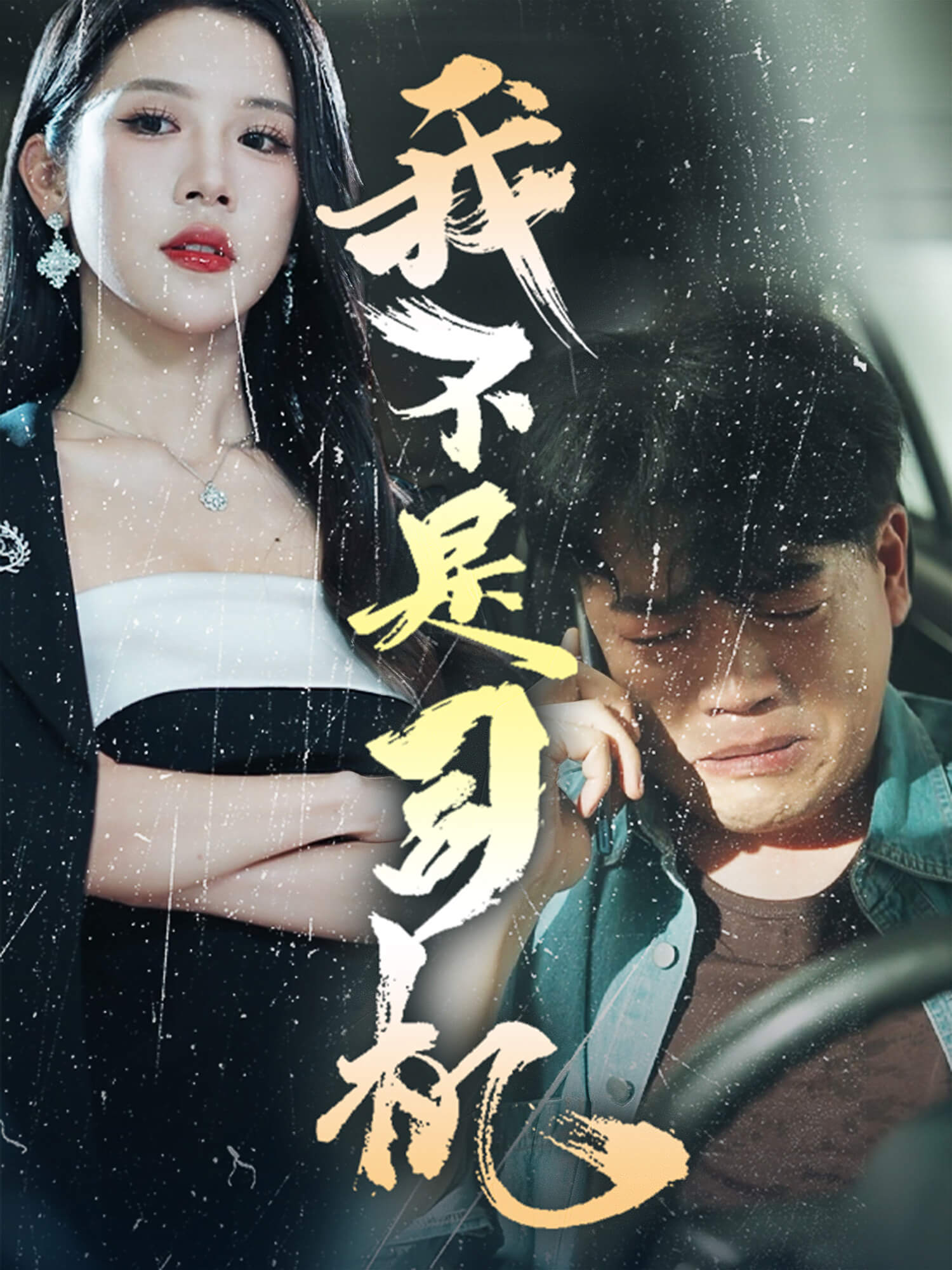 我不是司机 短剧封面与海报