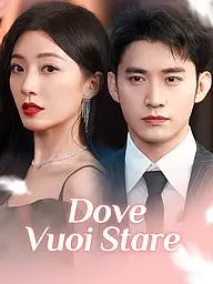 Copertina e Poster della Mini Serie Dove Vuoi Stare