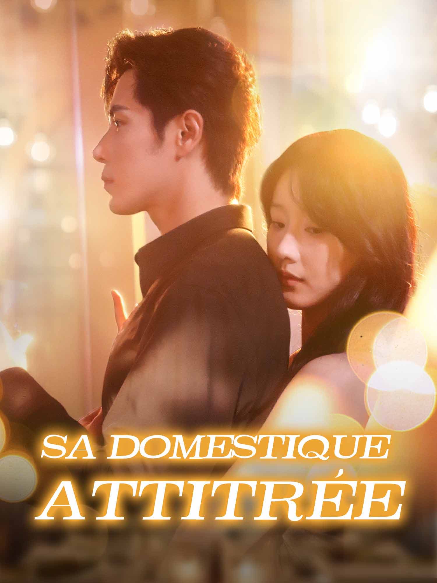 Affiche et Couverture de la Mini-série Sa domestique attitrée