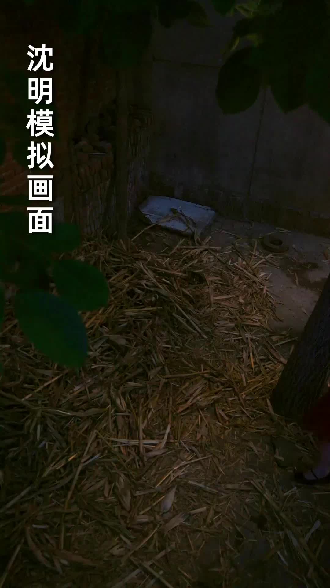 她的最后证词 EP.8