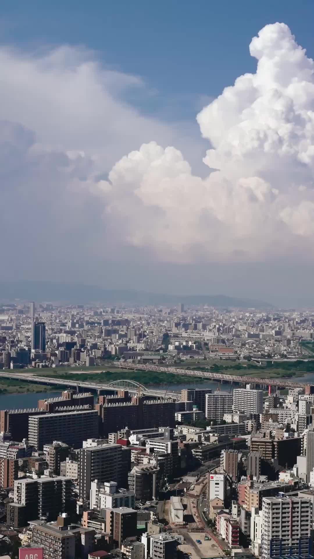 老师，请沦陷于我 EP.5