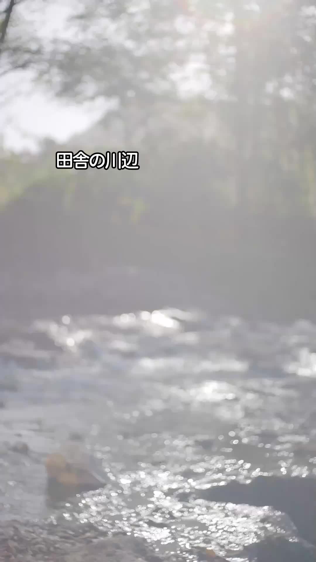 念願の再会∼一生の誓いを捧げる∼ EP.1