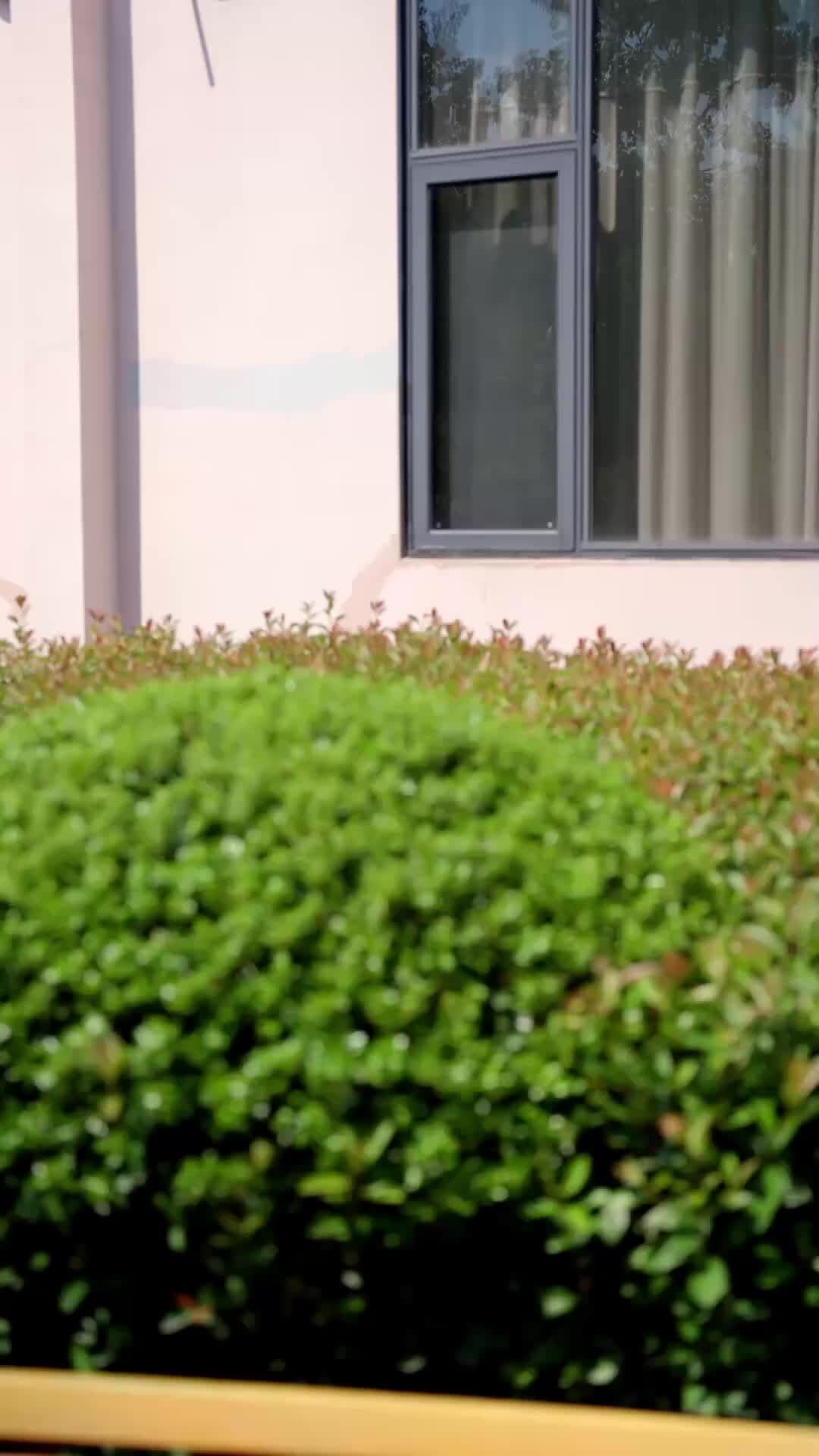 Episode 21