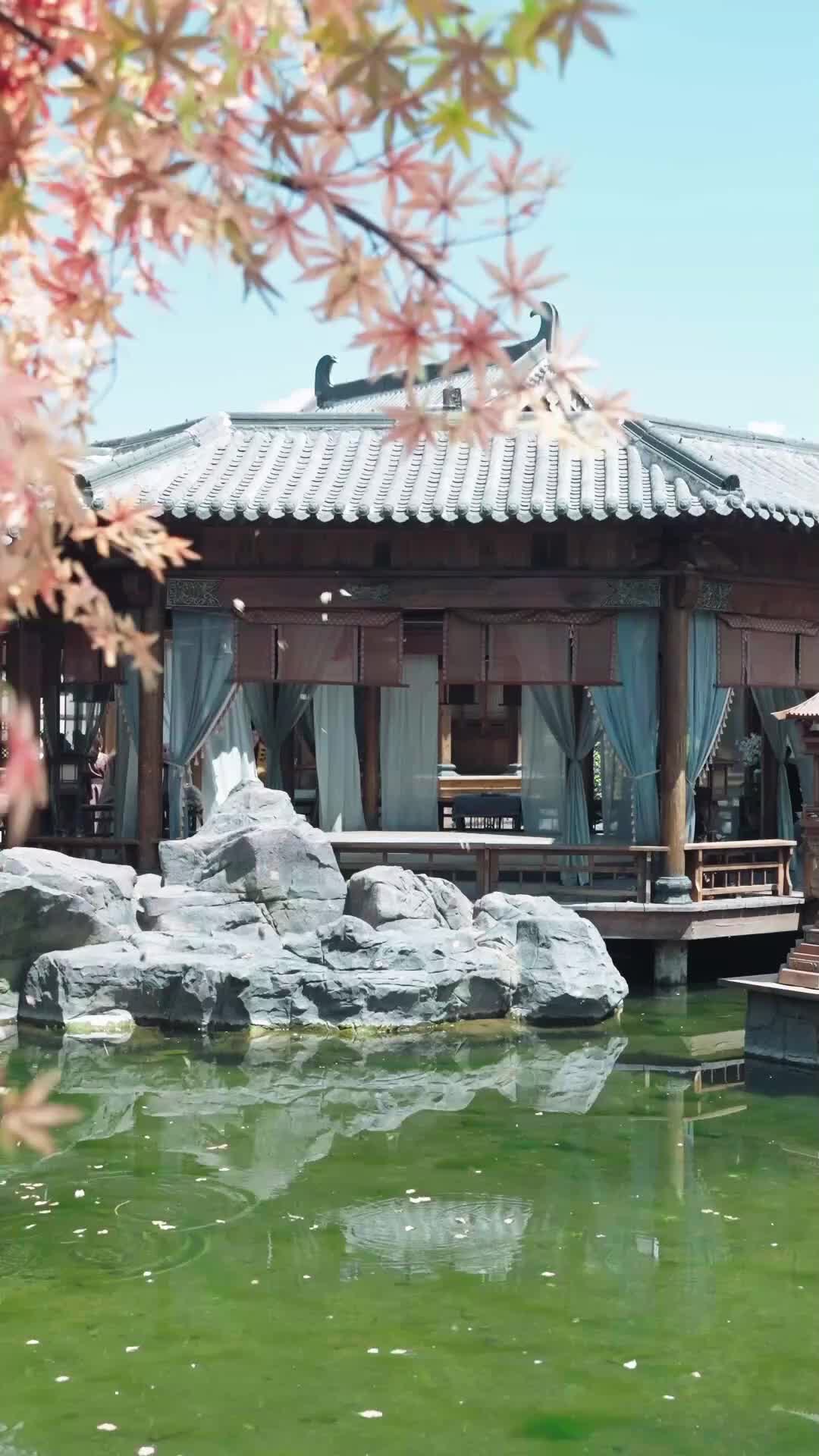 Tập 29