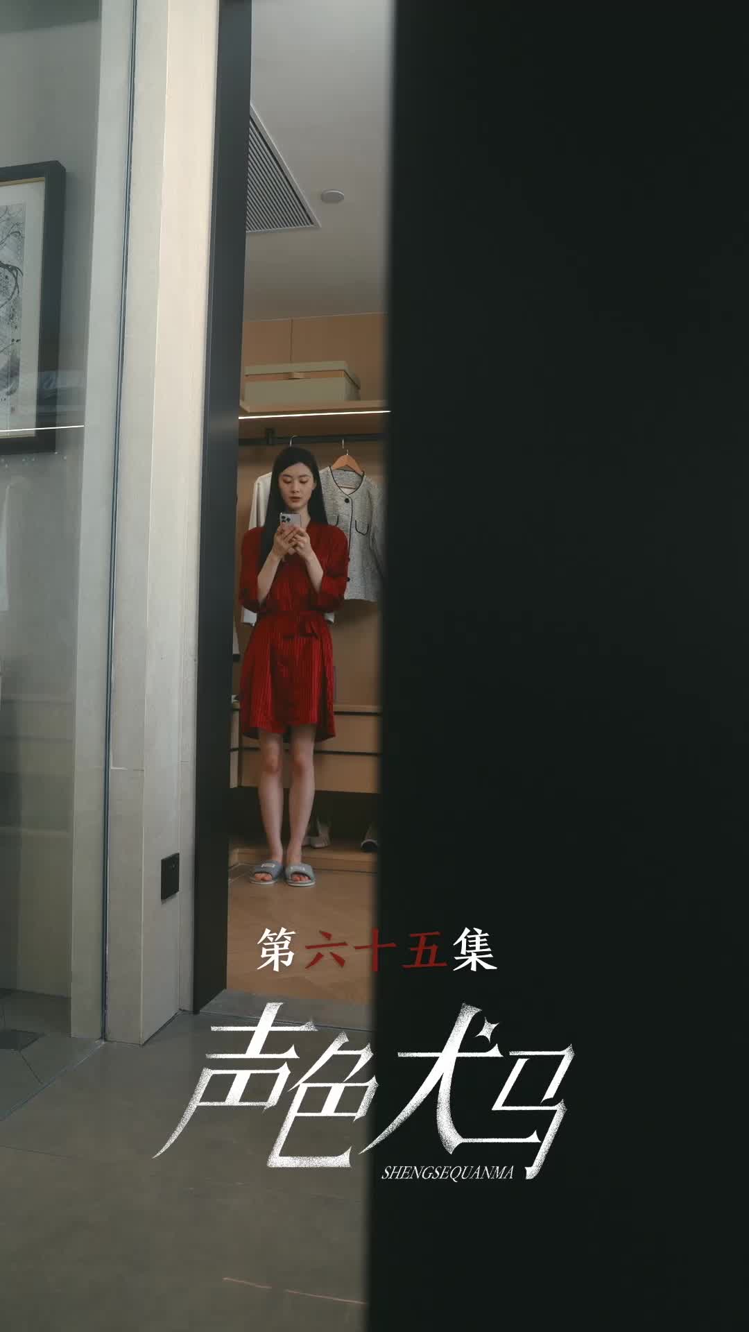 第65集