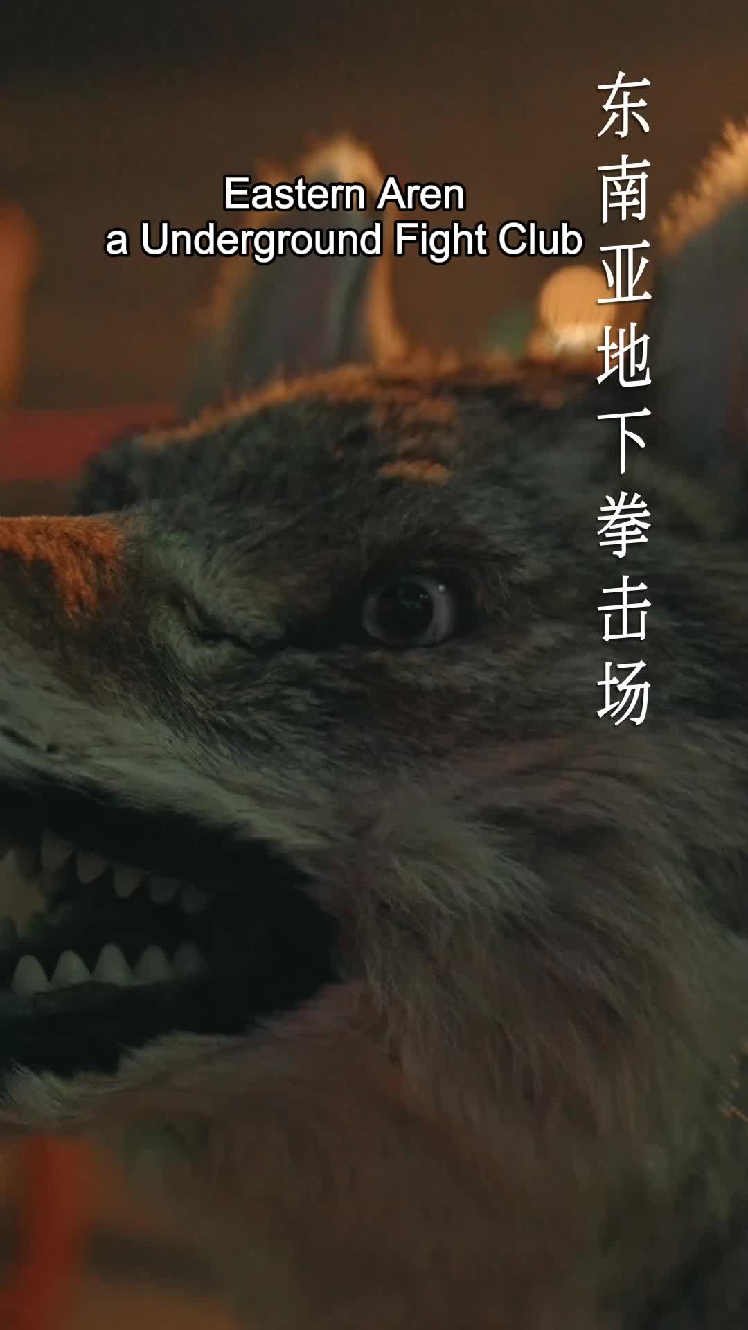 The Heiress and Her Hound EP.1