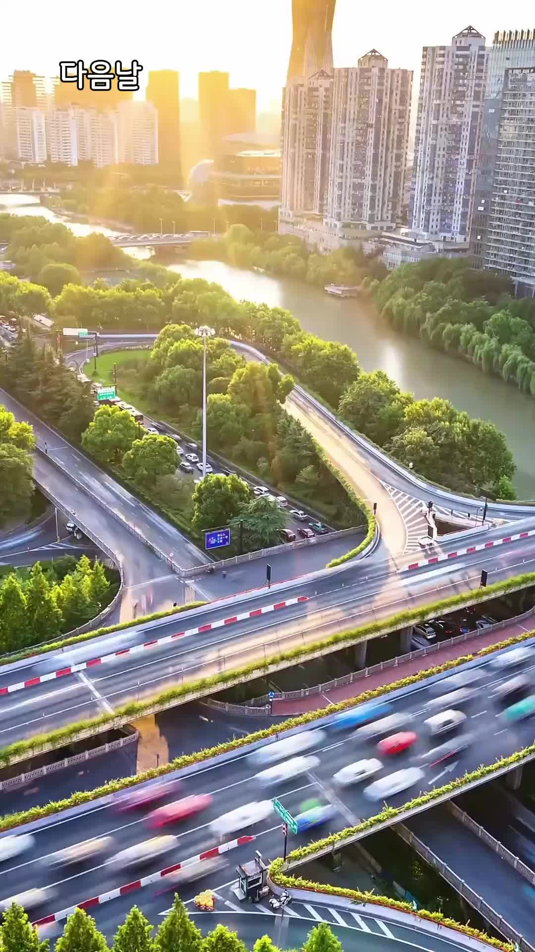 67회