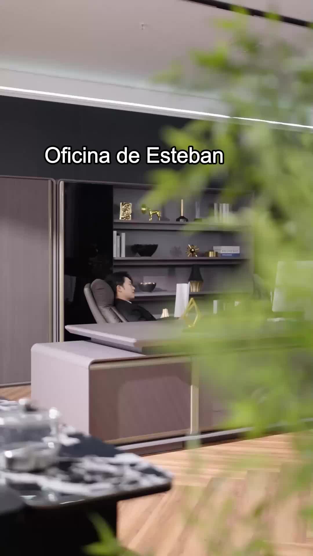 Capítulo 29
