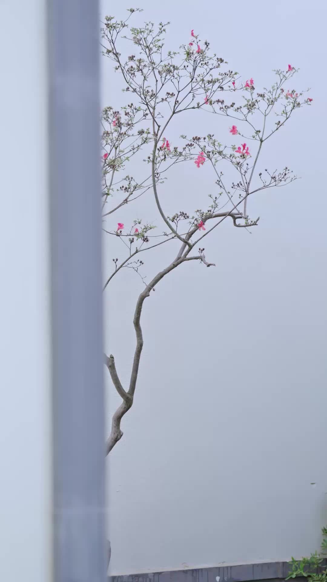第15集