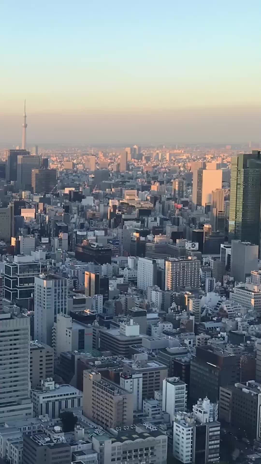 Prof, tu tomberas pour moi EP.1