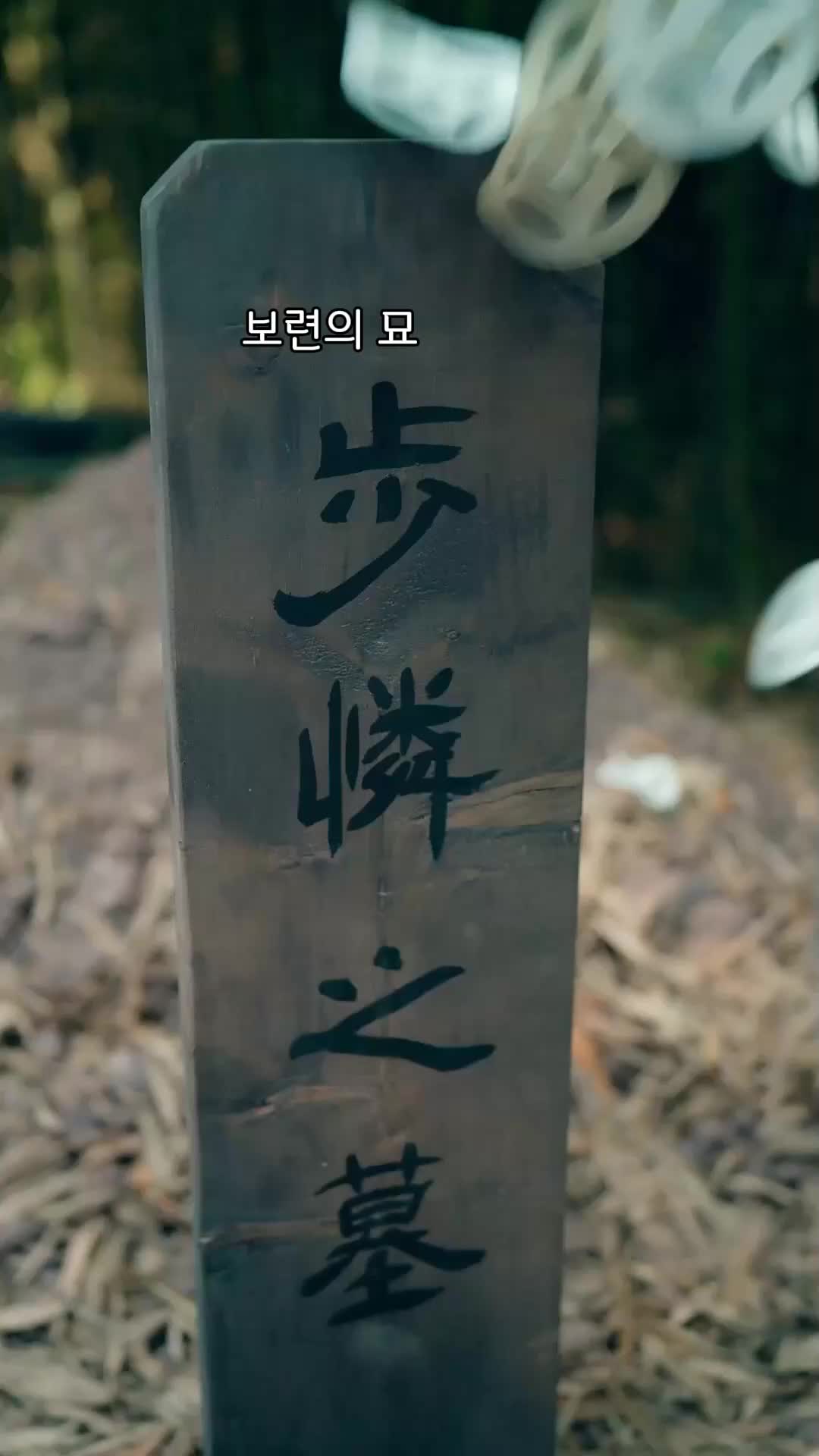 67회