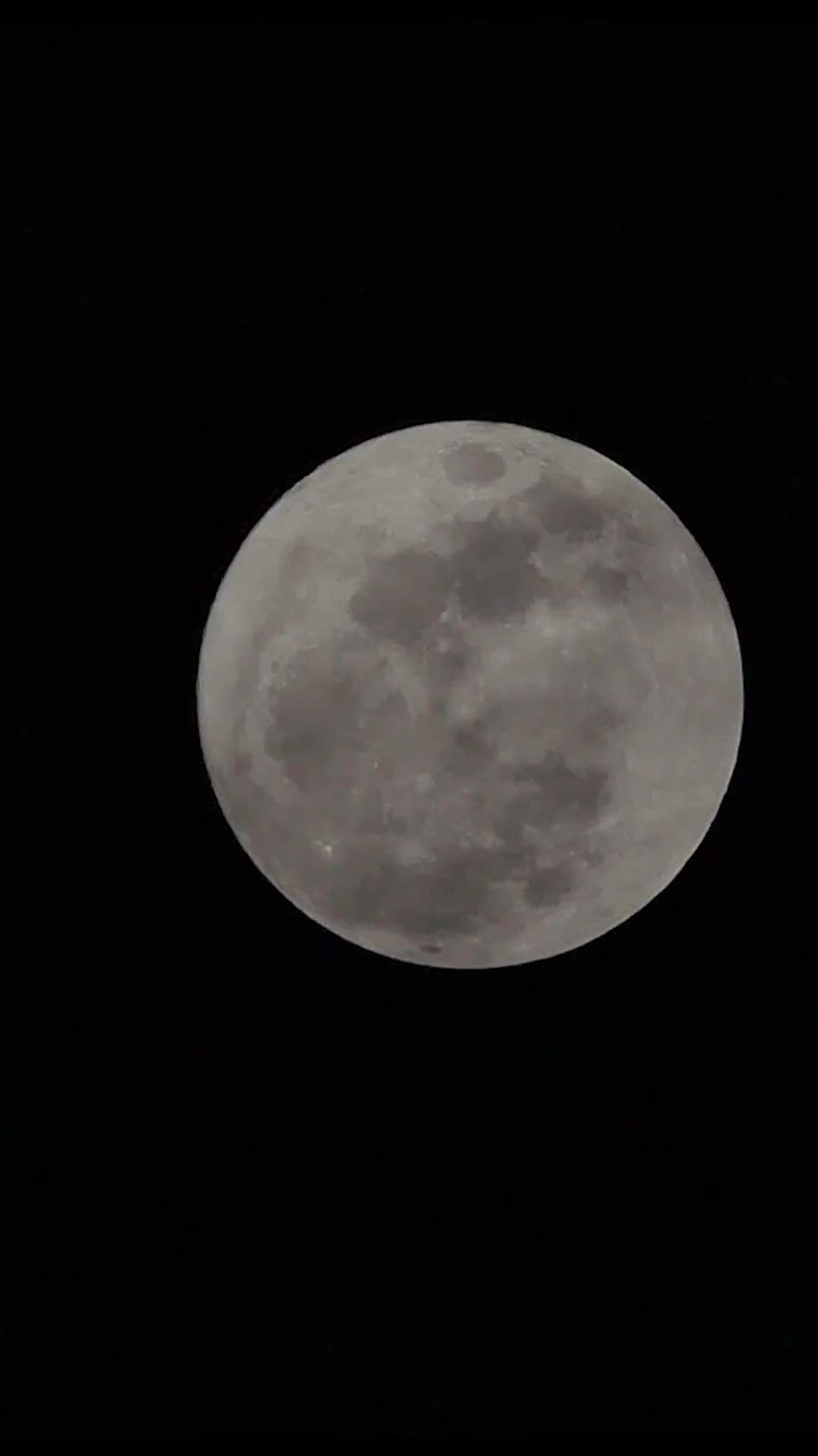 离婚后他追妻火葬场 EP.7