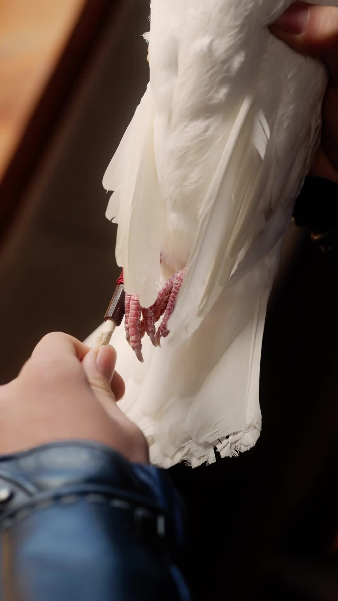 Folge 45