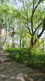 天渺:无情道仙尊竟成了我夫人 EP.1