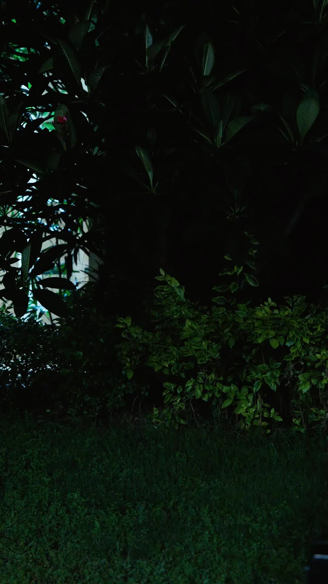 爸，公司都上市了，你考試及格了嗎 EP.12