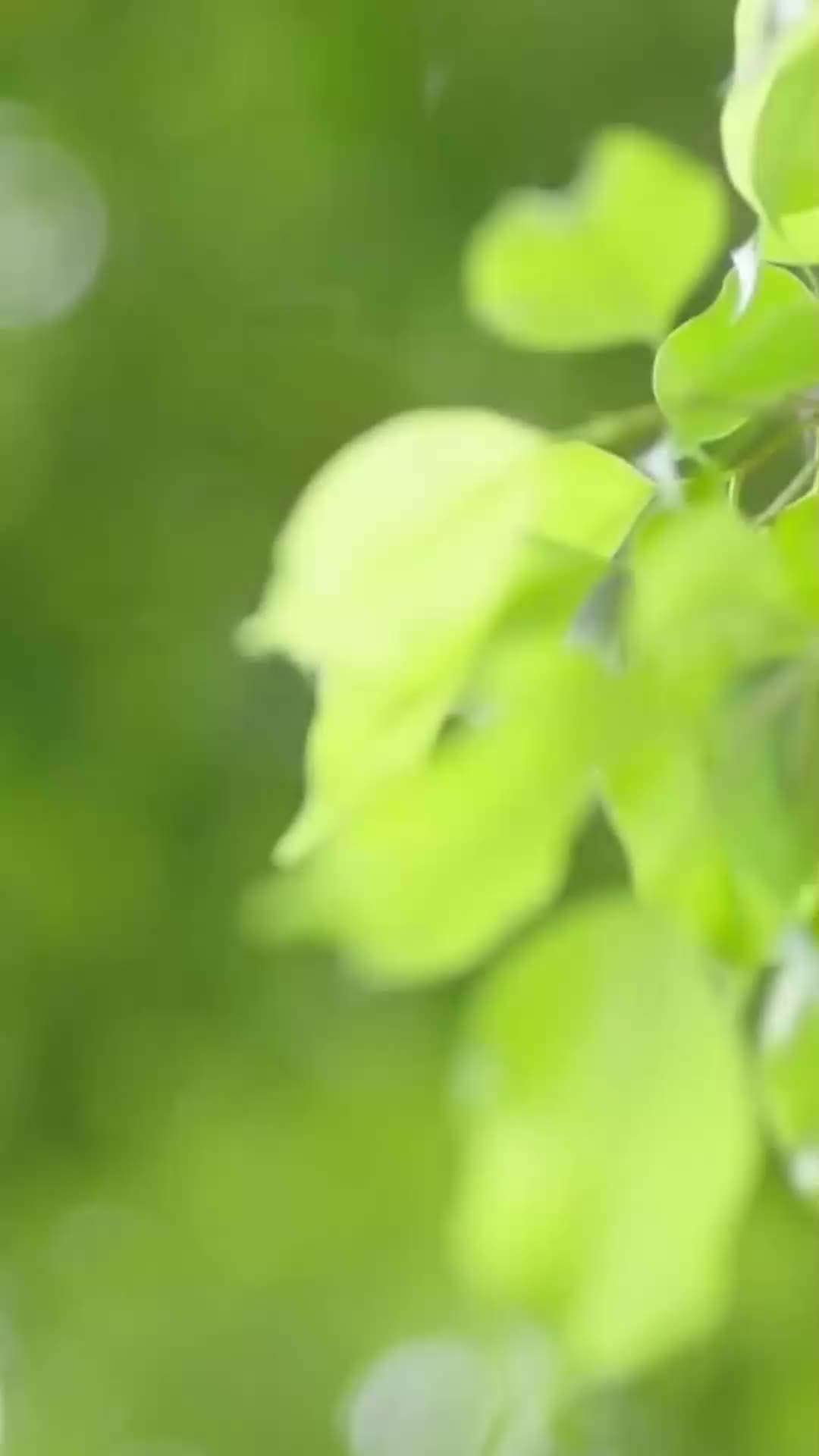 第45集