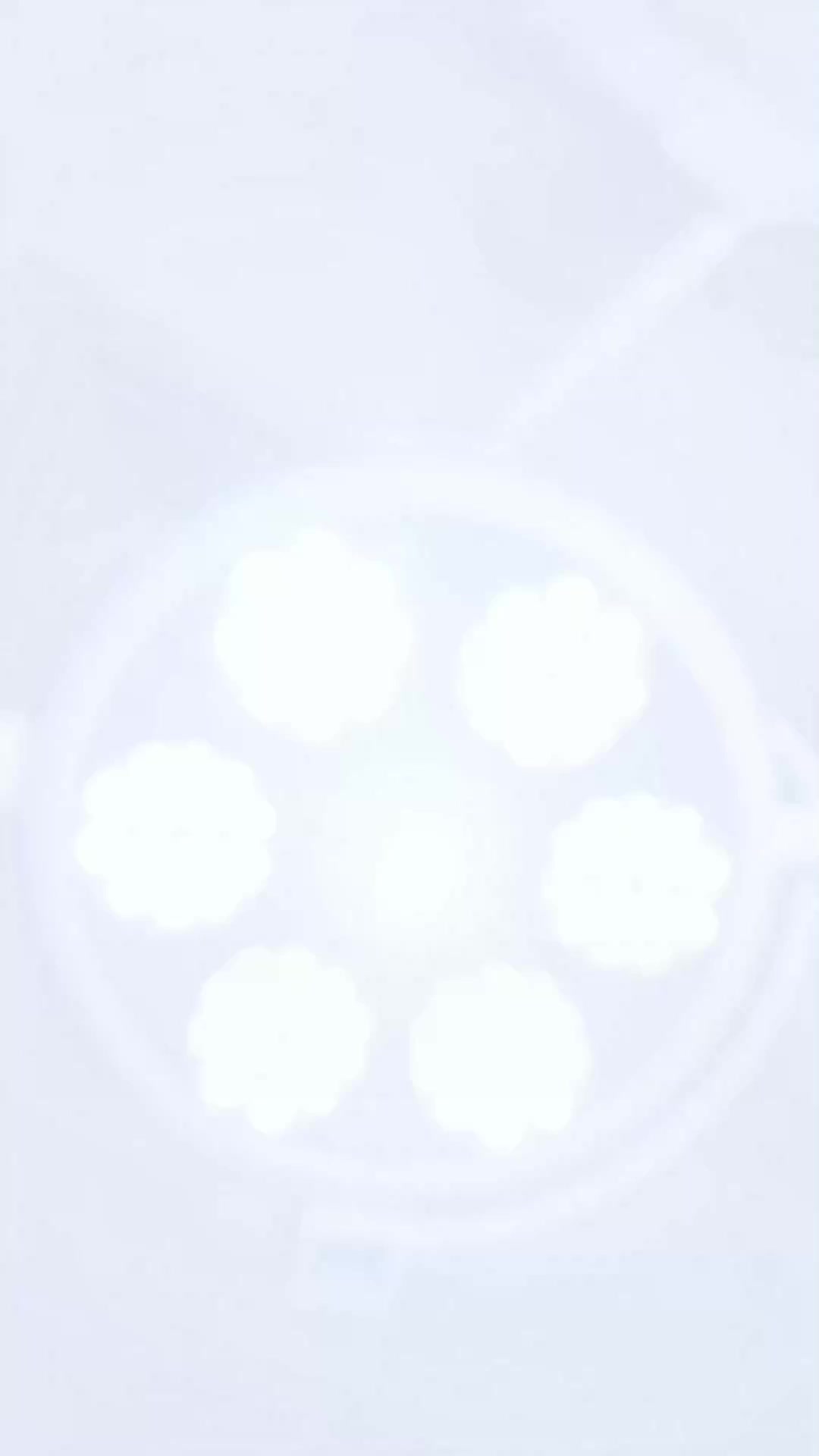 زوجة الرئيس الحامل EP.1