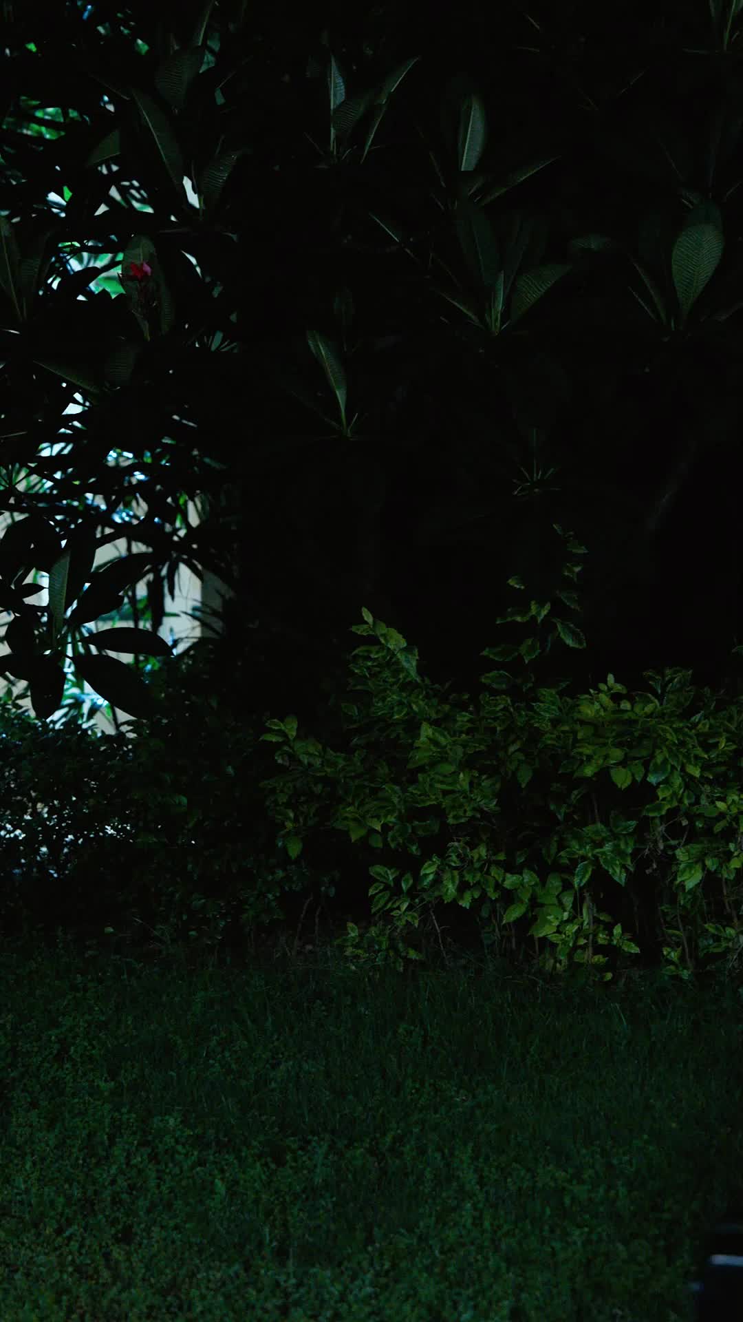 Teste Scambiate, Vite Ribaltate EP.12