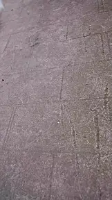 Çalınan Kurtarıcı EP.1