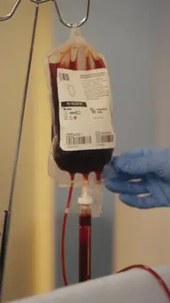 Von der verlorenen Erbin zur Mafiabraut EP.2