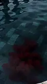 Folge 30