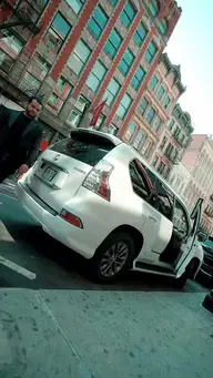 Cinderela do Pet EP.3