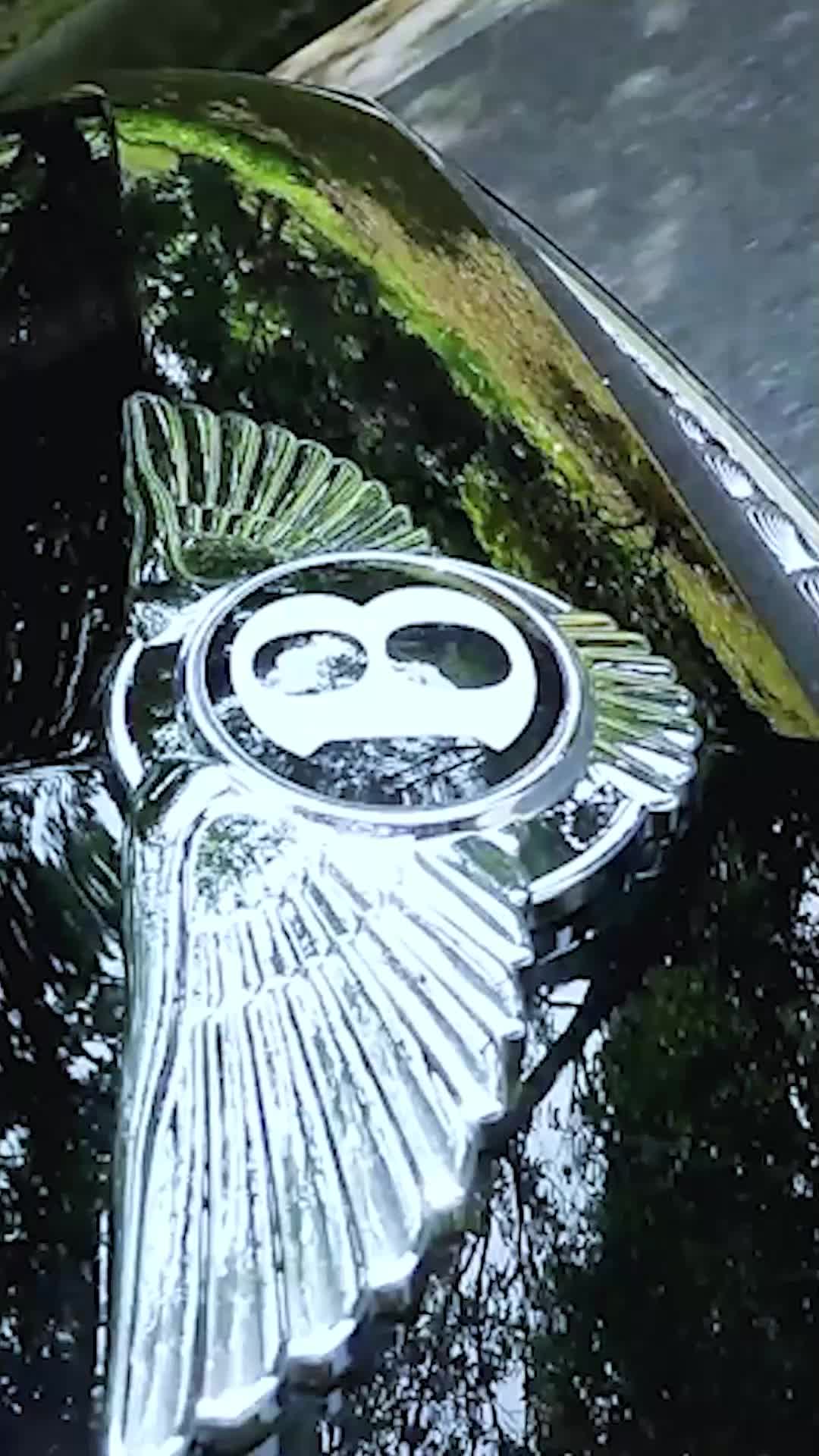 From Retreat to Heartbeat EP.9