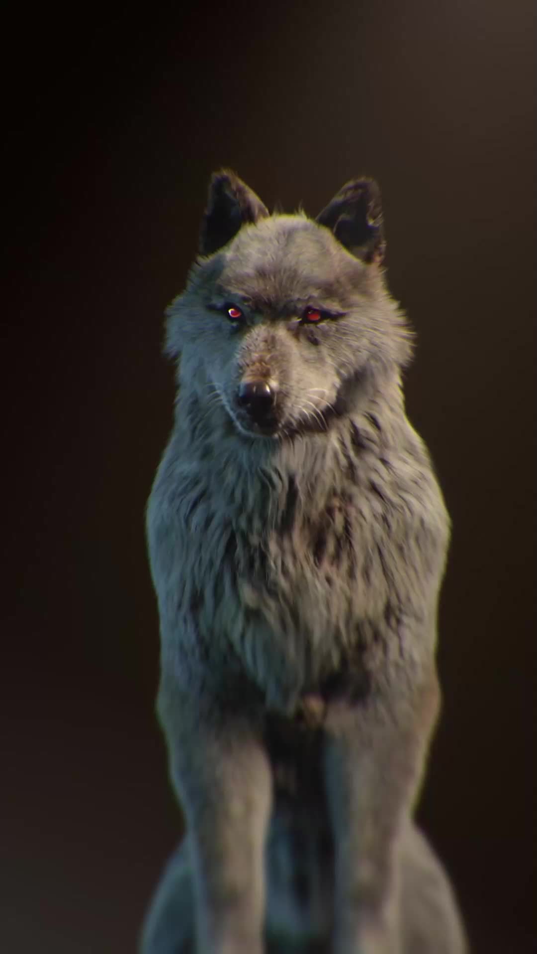 ตอนที่ 17