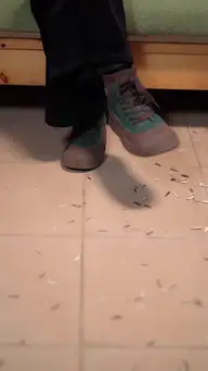 O Amor com Preço EP.2