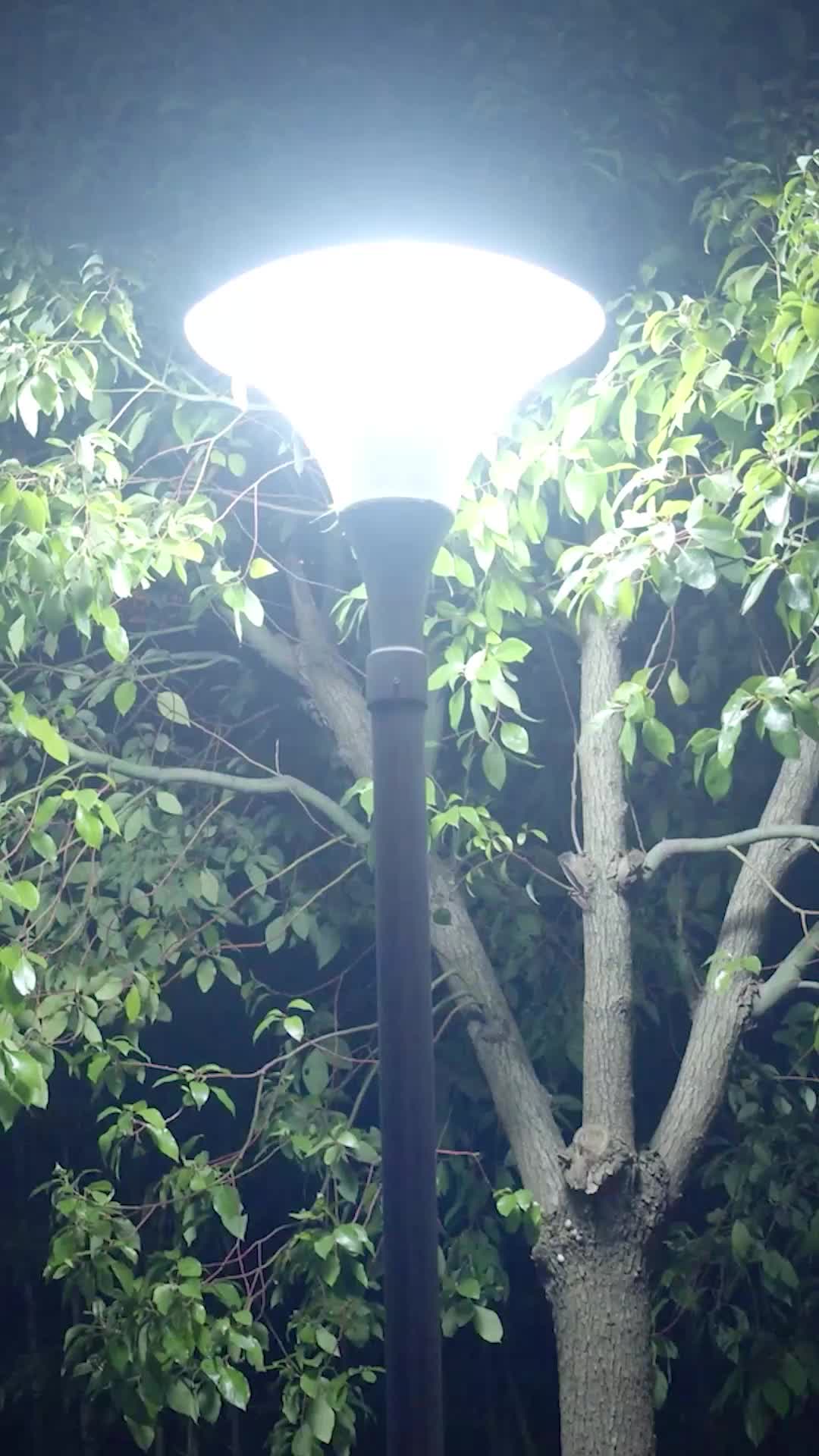 ตอนที่ 50