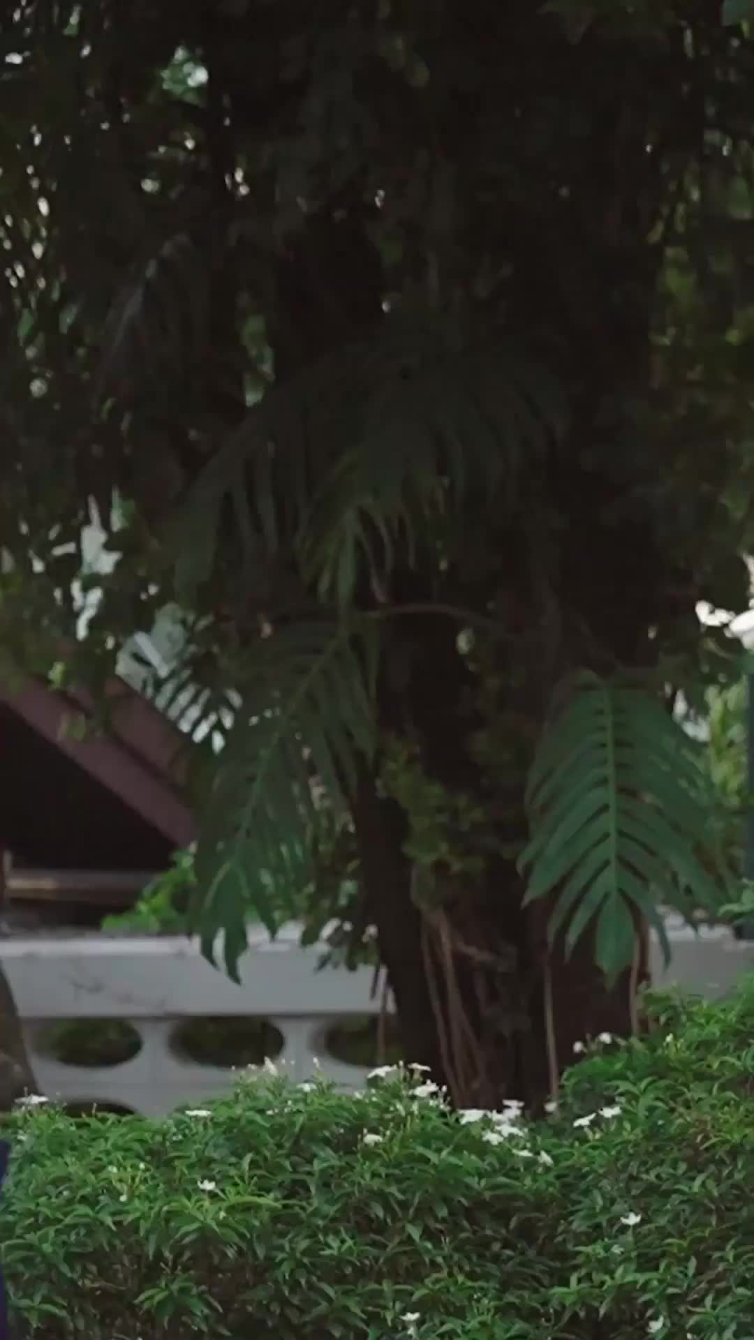 ตอนที่ 42