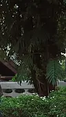 ตอนที่ 42