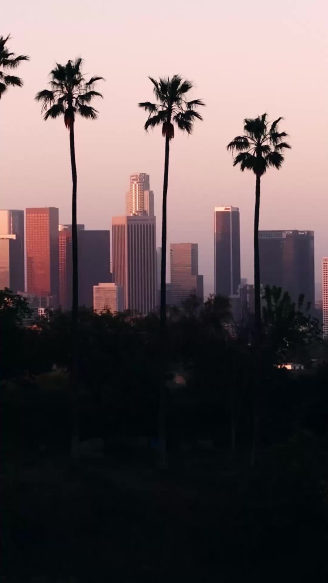 黑帮大佬的甜蜜契约 EP.9