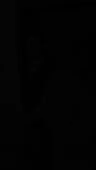 Todos mienten aquí EP.7