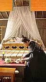 56회