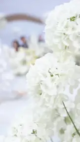 The Accidental Bride EP.2