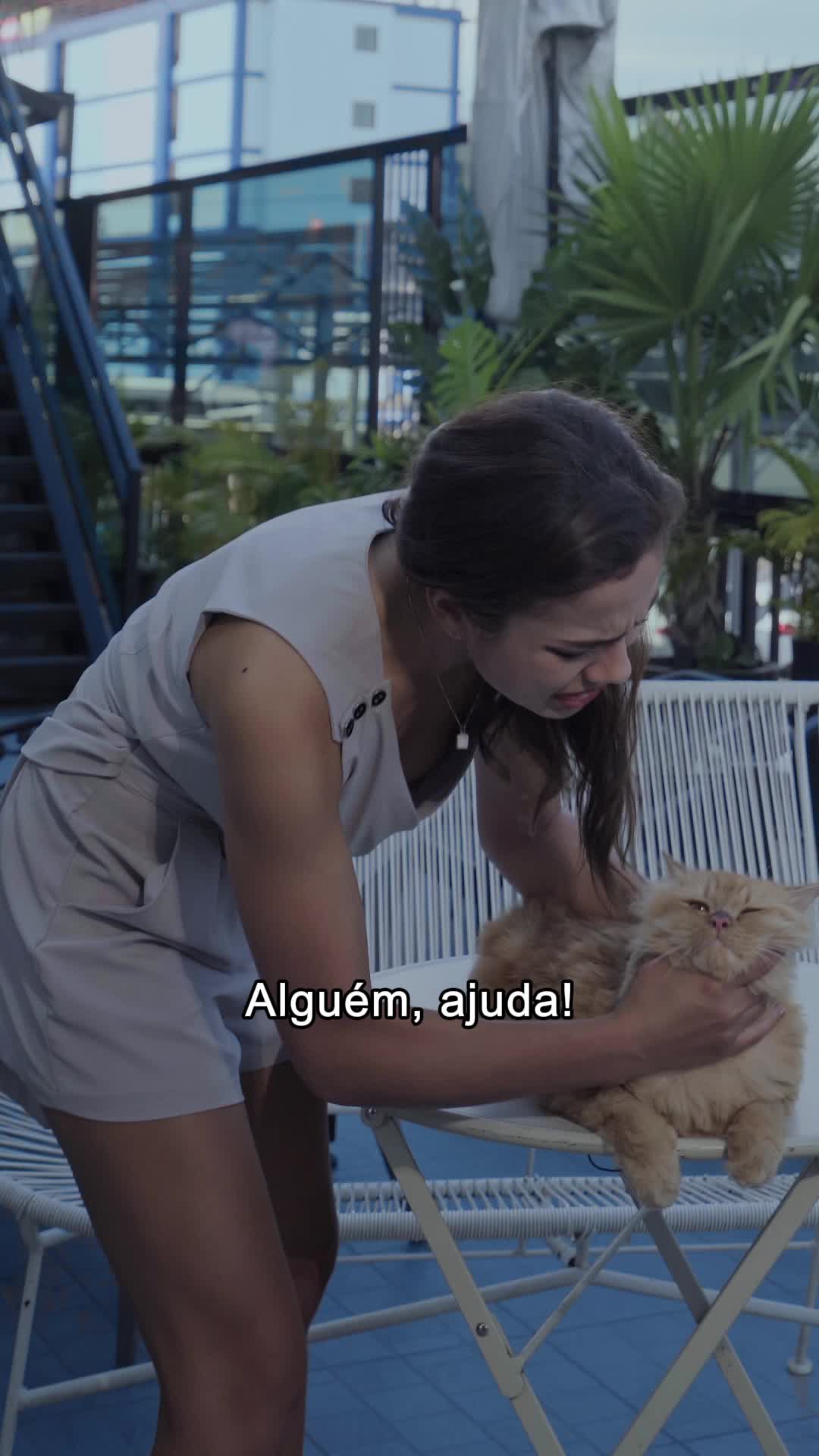 Episódio 31