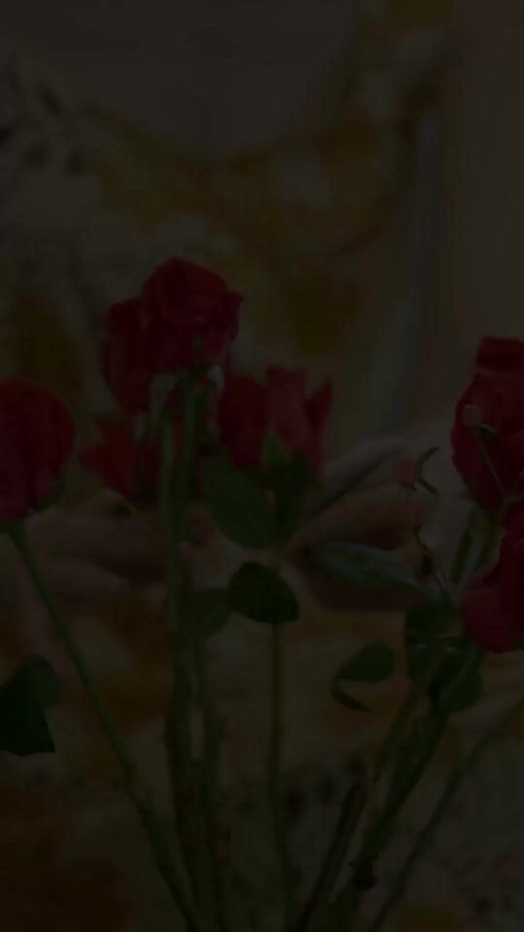 52회