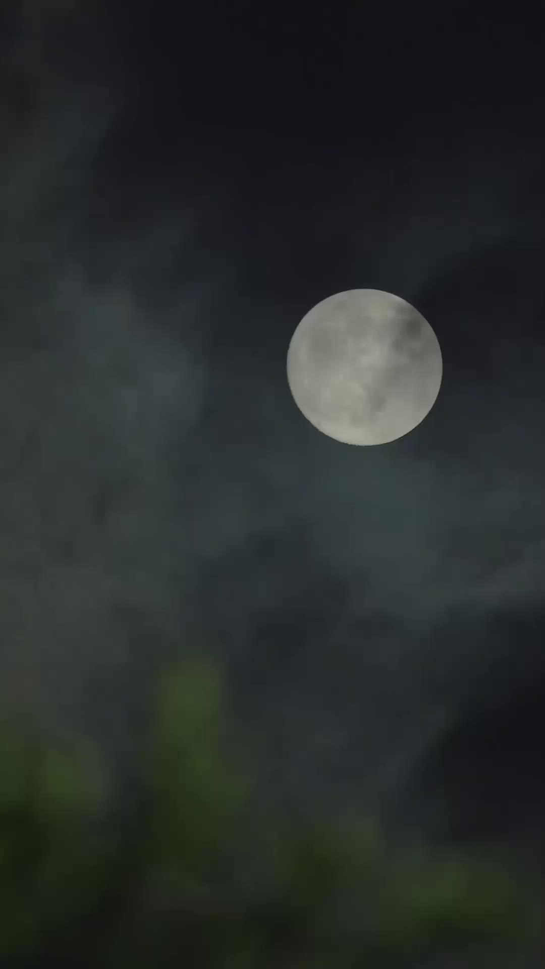 第47集
