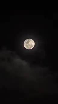 Vingança da Ex-mulher EP.1