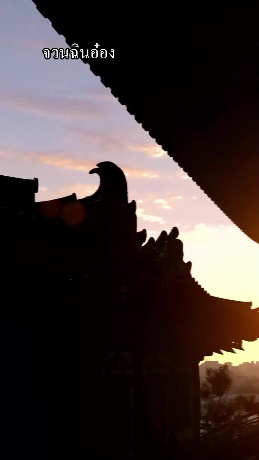 ตอนที่ 50