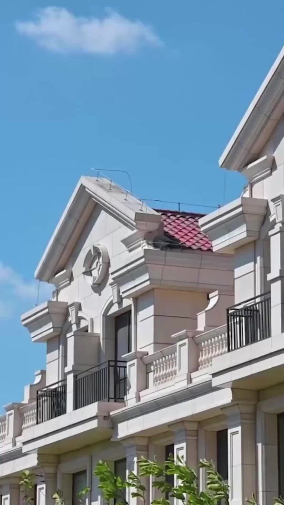 ตอนที่ 24