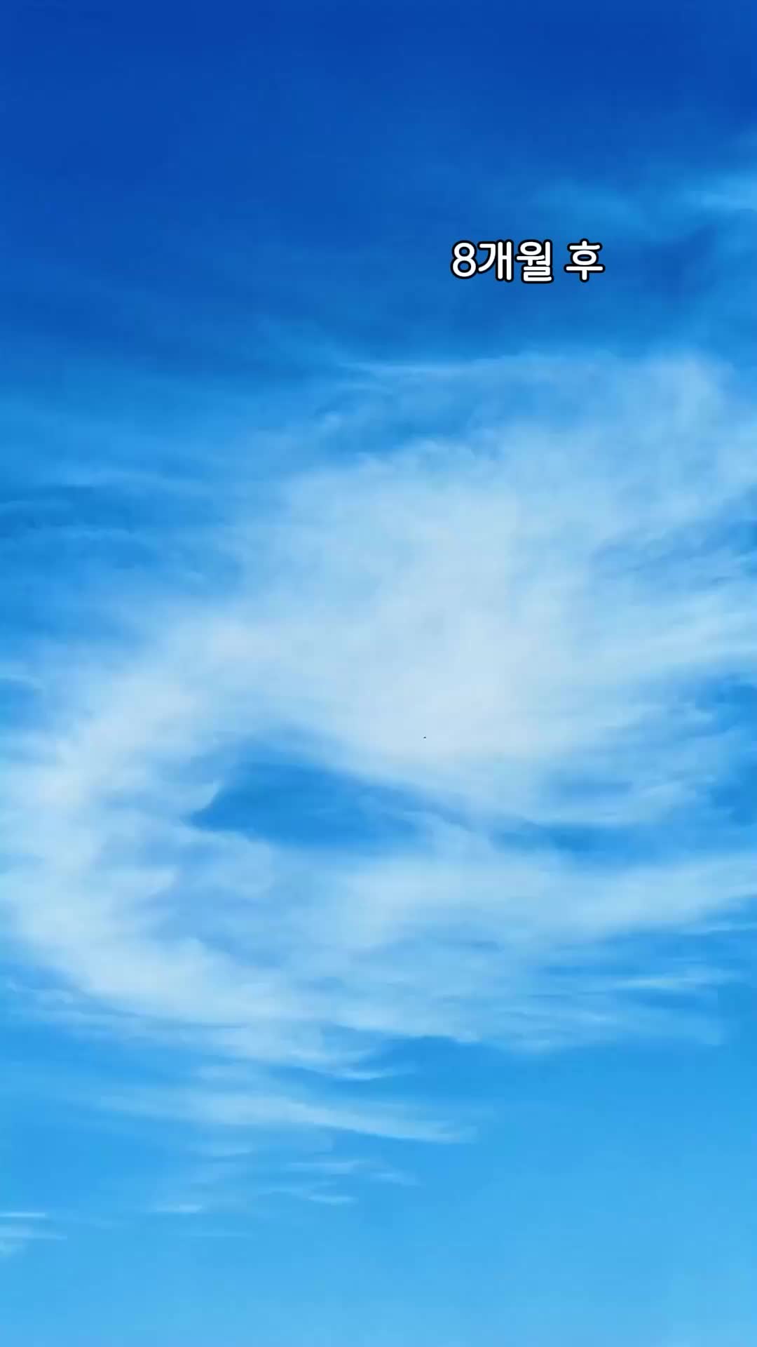 59회