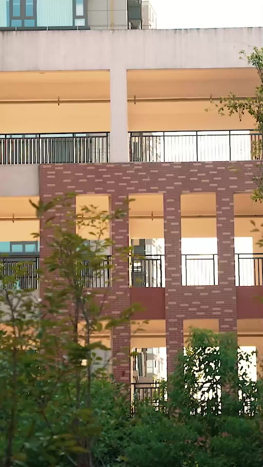 Tập 31