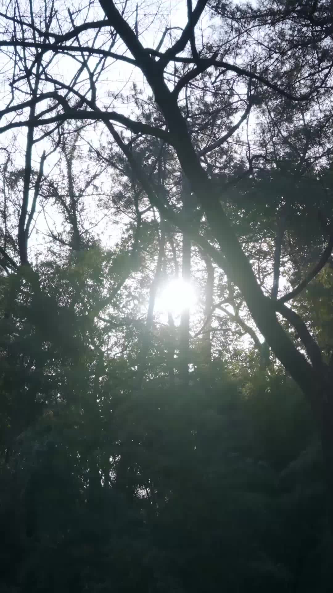 Istri Galak dari Masa Depan EP.6