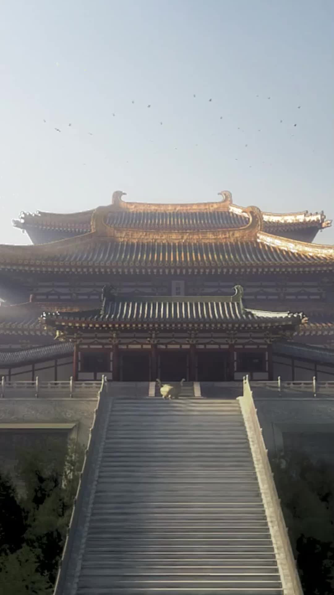 Tập 4