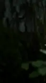 Episode 27