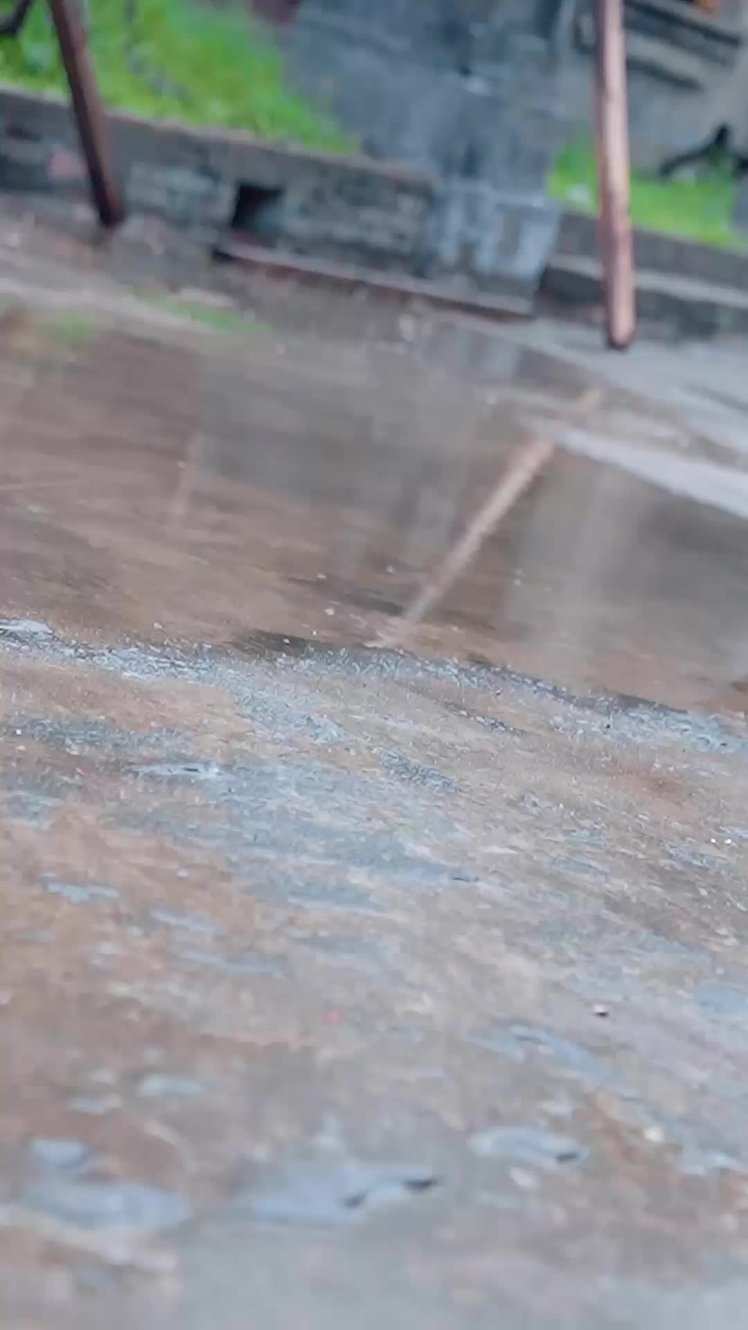 《余生菀菀》 EP.1