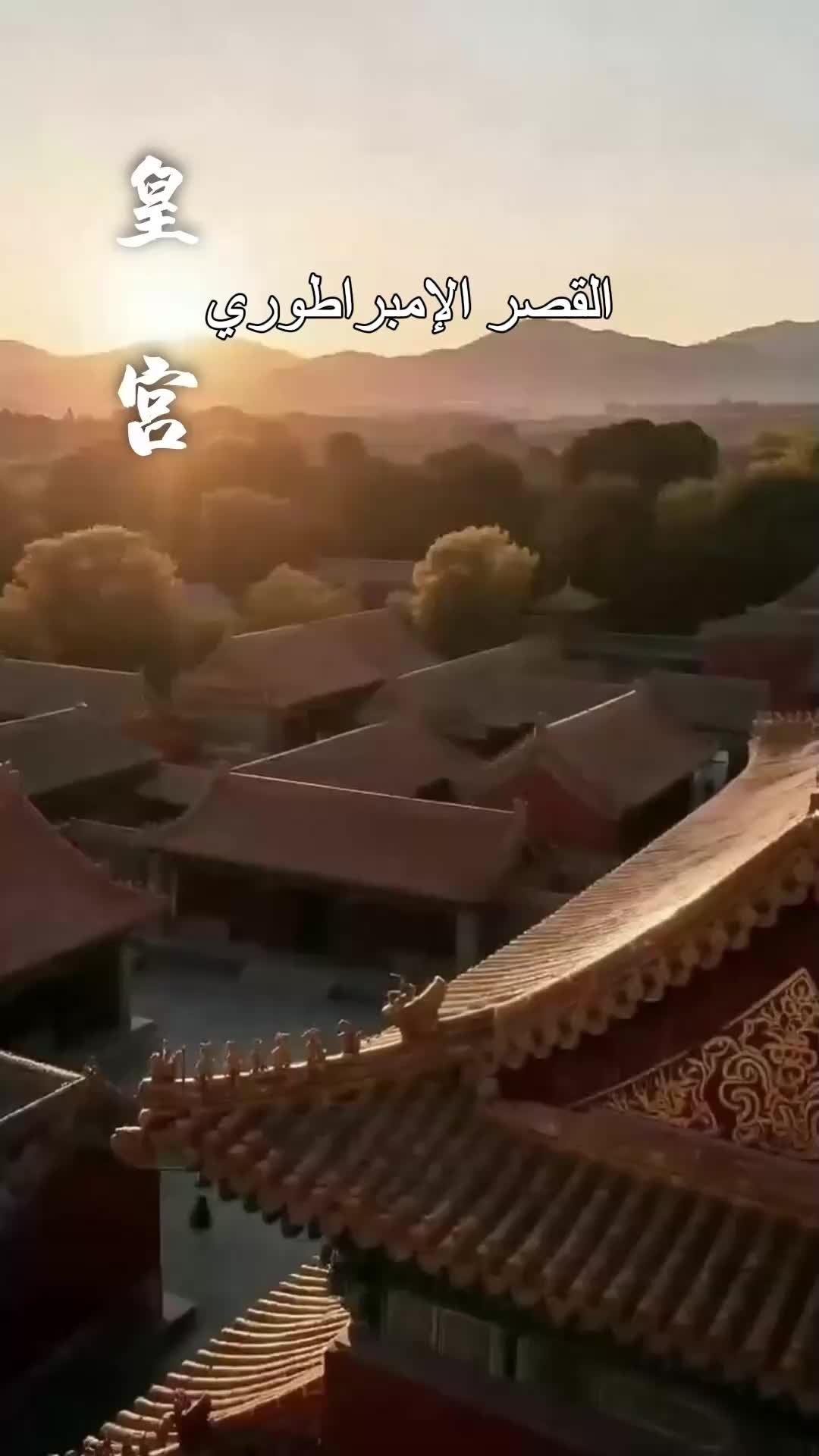 الحلقة 31